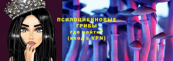 спиды Заволжье