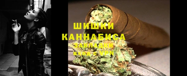 прущие грибы Заволжск