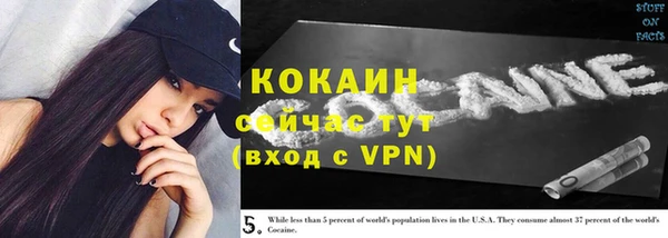 прущие грибы Заволжск