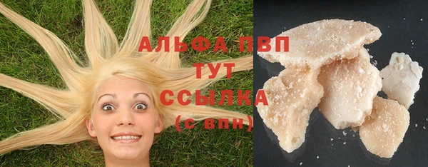прущие грибы Заволжск