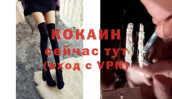 прущие грибы Заволжск