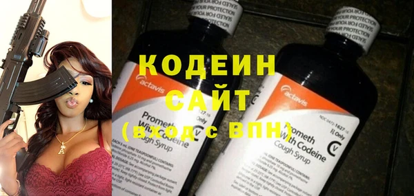 прущие грибы Заволжск