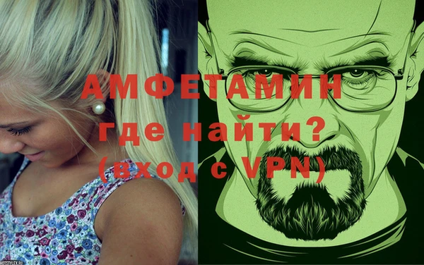 прущие грибы Заволжск