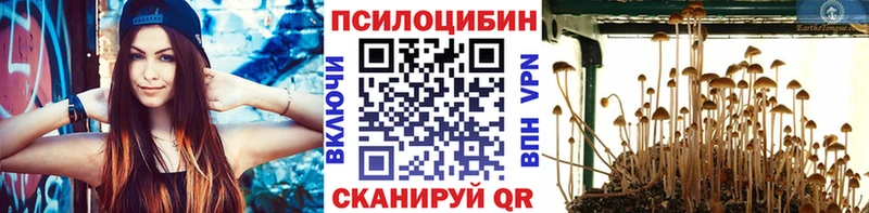 Галлюциногенные грибы Psilocybine cubensis  Кочубеевское 